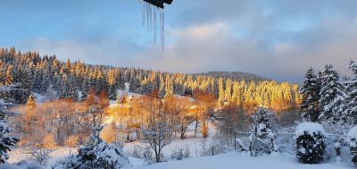 Penzion U Dvou pánů