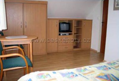 Penzion U lázní Velké Losiny