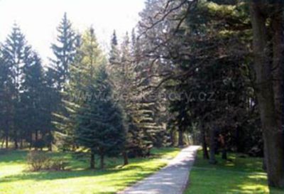 Penzion U lázní Velké Losiny