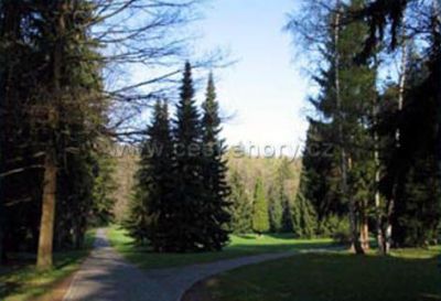 Penzion U lázní Velké Losiny