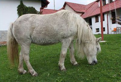 Penzion U Matějů