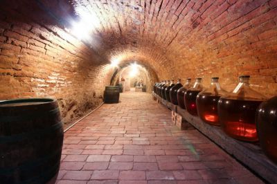 Penzion víno sklep U Palečků