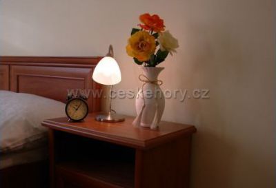 Penzion Ve Skále ***