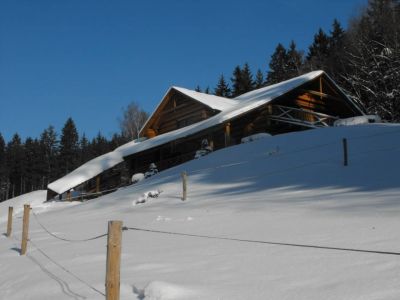 Penzion Ve Srubu Horní Radechová