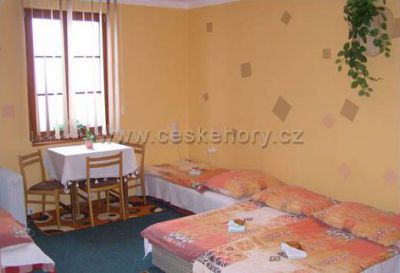 Penzion & Restaurant Vyskeř