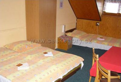 Penzion & Restaurant Vyskeř