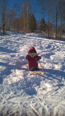 Horská chalupa U Míši