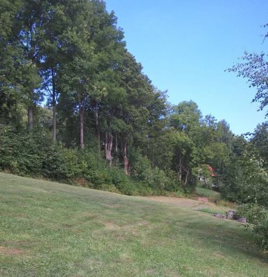 Horská chalupa U Míši