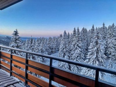 Hotel Petrovy kameny