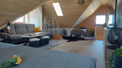 Apartmán Pod Smrčinou