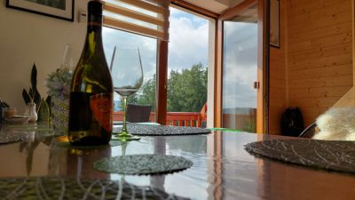 Apartmán Pod Smrčinou