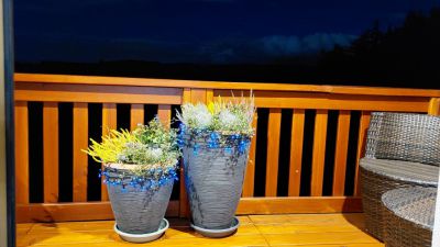 Apartmán Pod Smrčinou