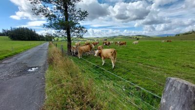 Apartmán Pod Smrčinou