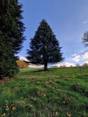 Chalupa pod strání