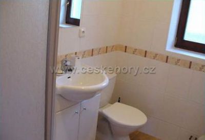 Usedlost pod javorem