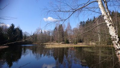 Na samotě pod Javorníkem - Maleč