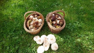 Na samotě pod Javorníkem - Maleč