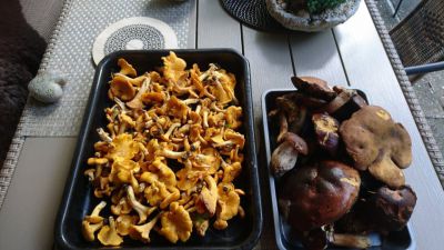 Na samotě pod Javorníkem - Maleč