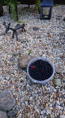 Na samotě pod Javorníkem - Maleč