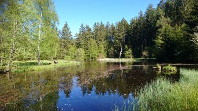 Na samotě pod Javorníkem - Maleč