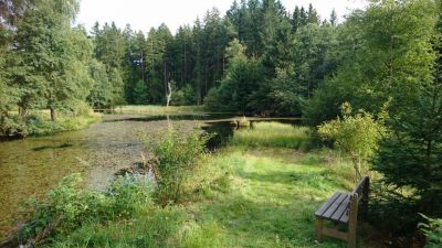 Na samotě pod Javorníkem - Maleč