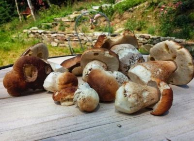 Horský apartmán Pod Koberštejnem - Rejvíz