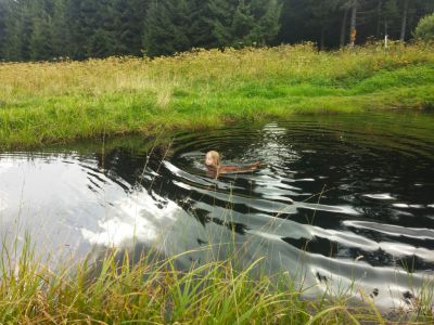 Horský apartmán Pod Koberštejnem - Rejvíz