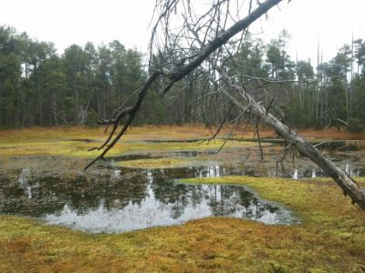 Horský apartmán Pod Koberštejnem - Rejvíz