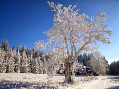 Horský apartmán Pod Koberštejnem - Rejvíz