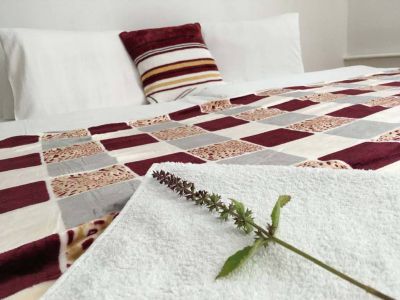 Horská chata Pod Lanovkou