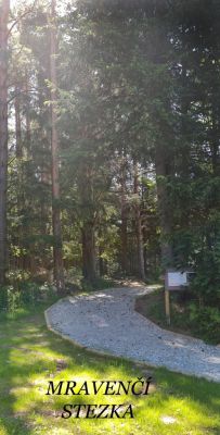 Pod Mravenčí stezkou