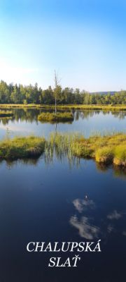 Pod Mravenčí stezkou