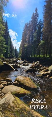 Pod Mravenčí stezkou