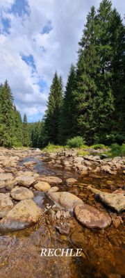 Pod Mravenčí stezkou