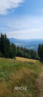 Pod Mravenčí stezkou