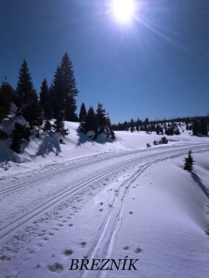 Pod Mravenčí stezkou