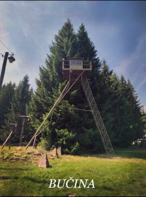 Pod Mravenčí stezkou