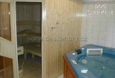 Penzion *** Pod Smrkem