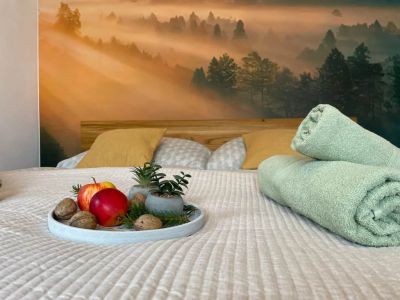 Apartmány pod Štěpánkou