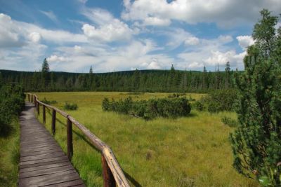 Apartmány pod Štěpánkou