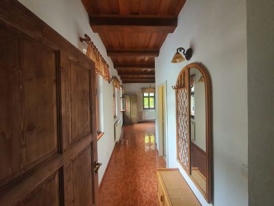 Poloroubenka Dřevěnka