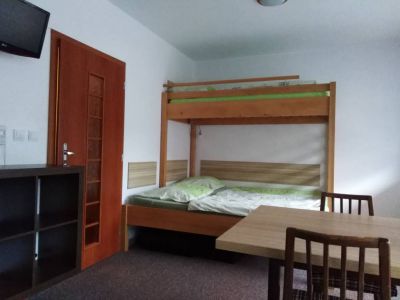 Apartmán pod sjezdovkou