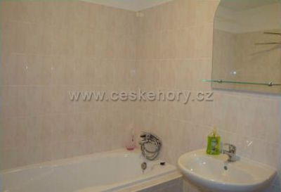 Apartmán pod sjezdovkou