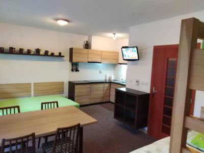 Apartmán pod sjezdovkou
