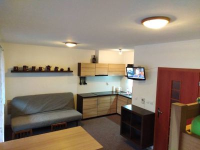 Apartmán pod sjezdovkou