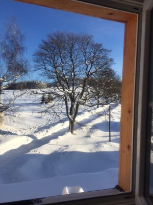 Apartmán Příchovice