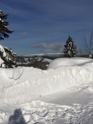 Apartmán Příchovice
