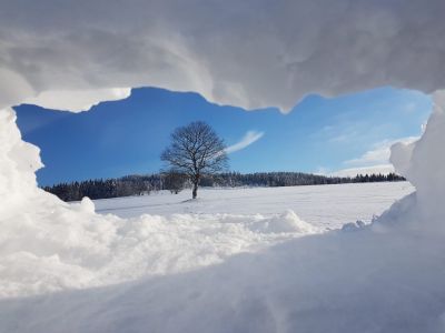 Příchovická Hacienda