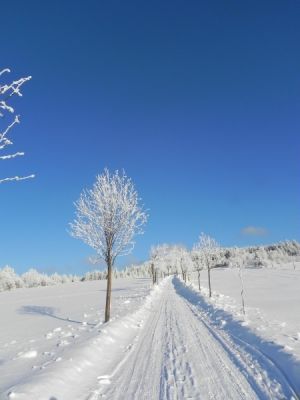 Příchovická Hacienda