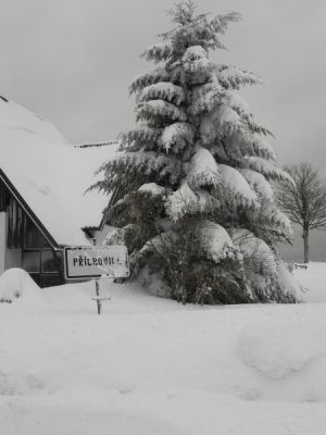 Příchovická Hacienda